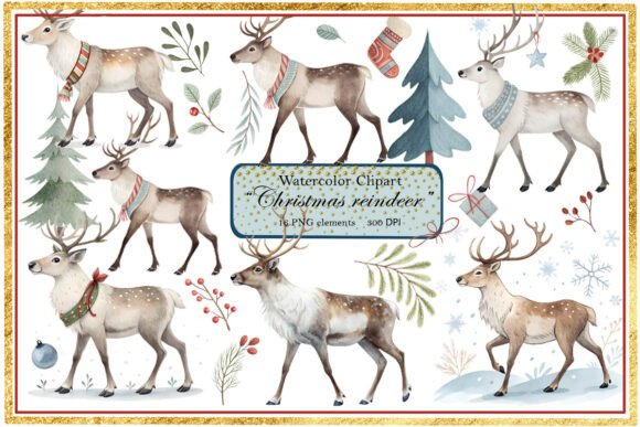 Christmas Reindeer Watercolor Illustrations Review